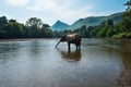 Kwai River Thailand Royalty Free Stock Photo